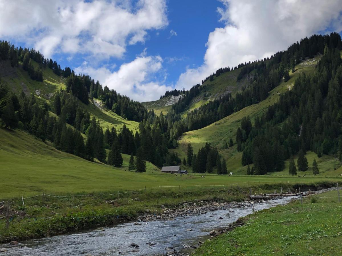 Walli Laterns - Ski Und Bergvergnuegen Direkt Vor Der Haustuer Exterior foto